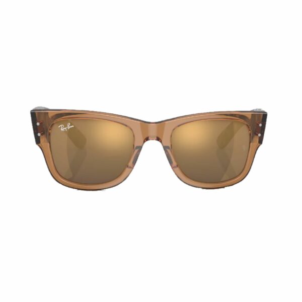 Ray Ban Mega Wayfarer